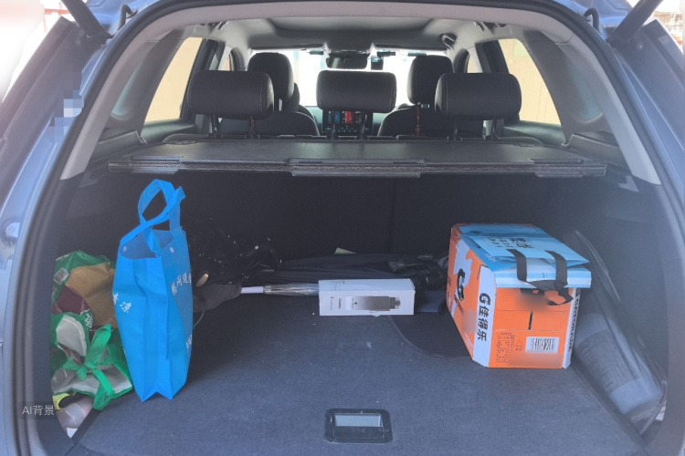 BYD Song Pro New Energy 2020 car image #21