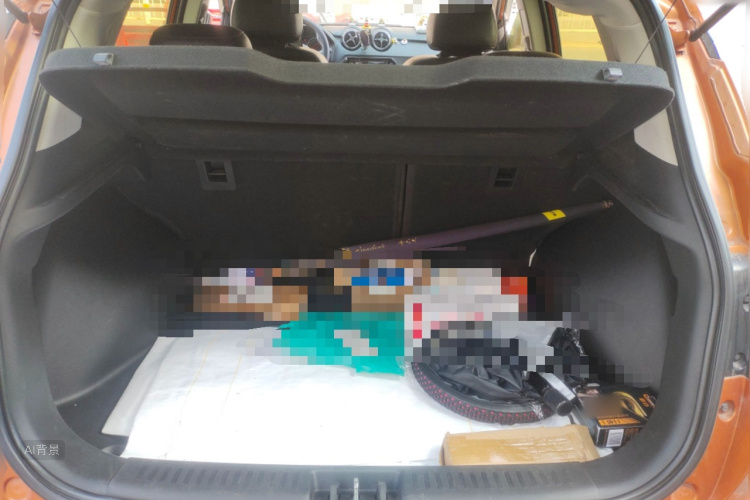 Soueast DX3 2017 car image #21