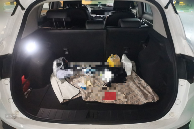 GEELY Coolray 2019 immagine di auto #21