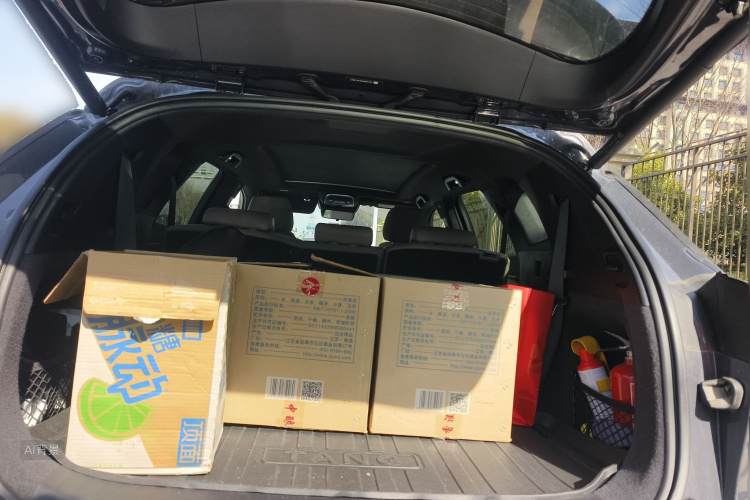 BYD Tang New Energy 2024 #21 BYD Tang New Energy 2024 car image #21