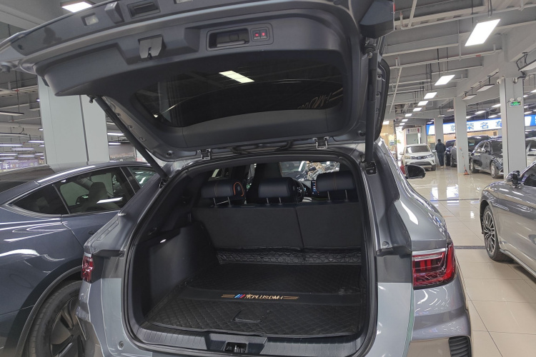 BYD Song Plus New Energy 2021 car image #21