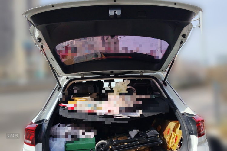 T-Roc 2018 car image #21