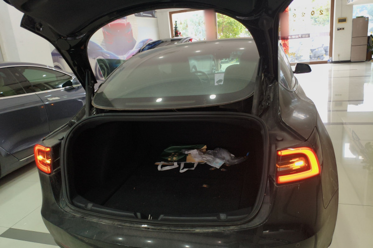 特斯拉 Model 3(进口) 2019 汽车图片 #21