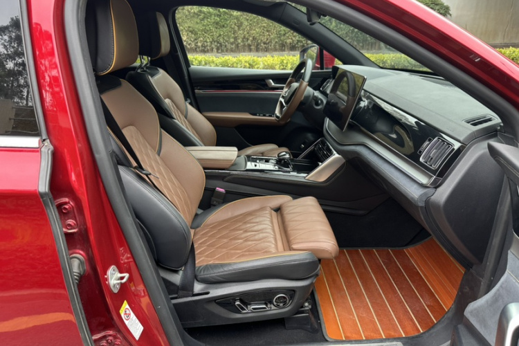 BYD Tang New Energy 2022 car image #21