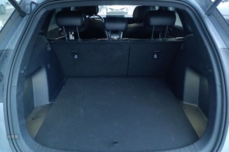 BYD Sea Lion 06 New Energy 2025 car image #21