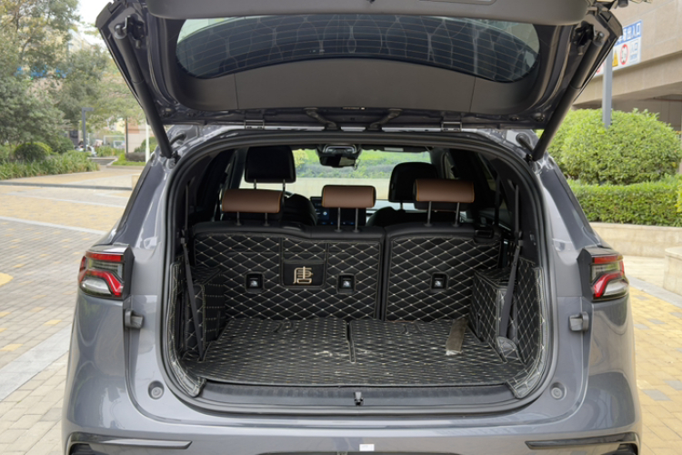 BYD Tang New Energy 2022 car image #21