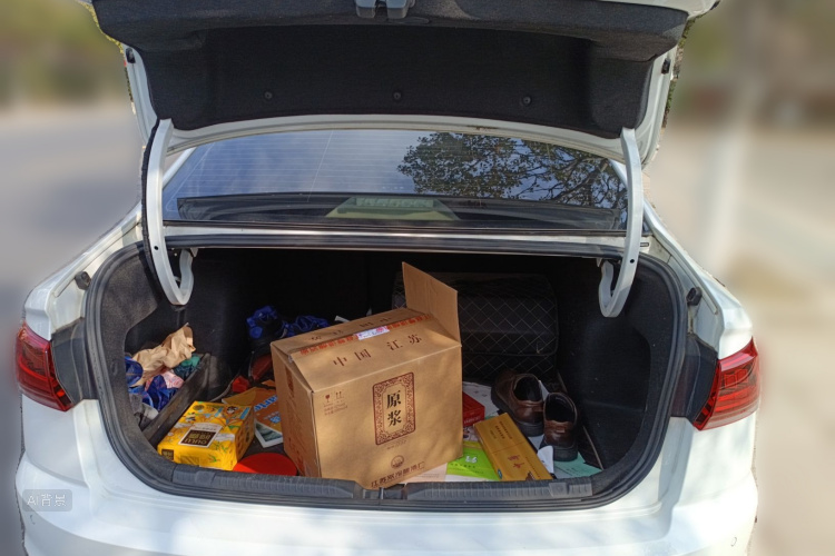 Volkswagen Bora 2022 immagine di auto #21