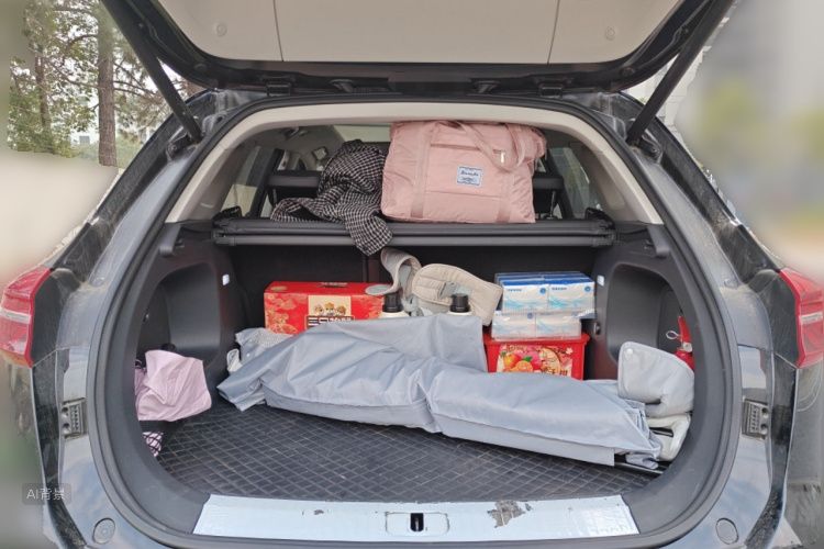 HongQi HS5 2023 car image #21