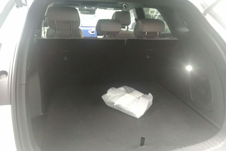 BYD Sea Lion 06 New Energy 2025 car image #21