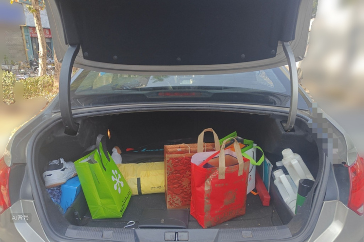 Citroen C4L 2013 immagine di auto #21