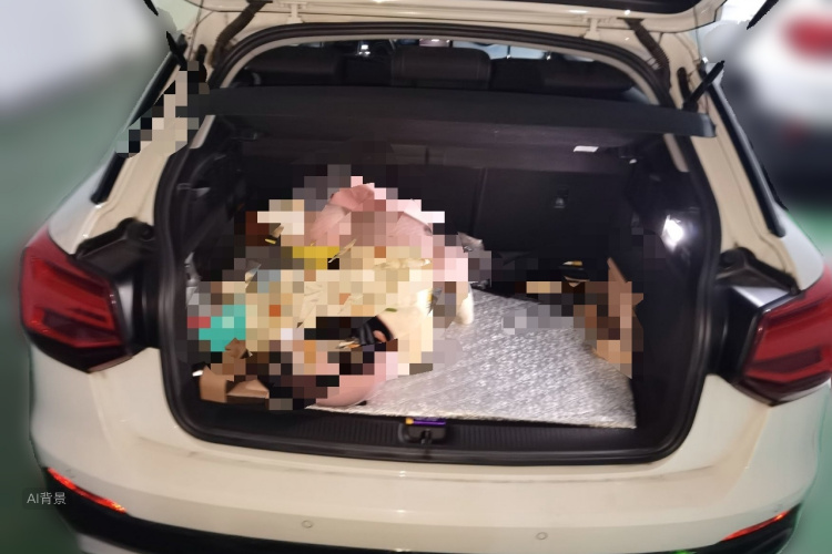 Q2L 2021 car image #21