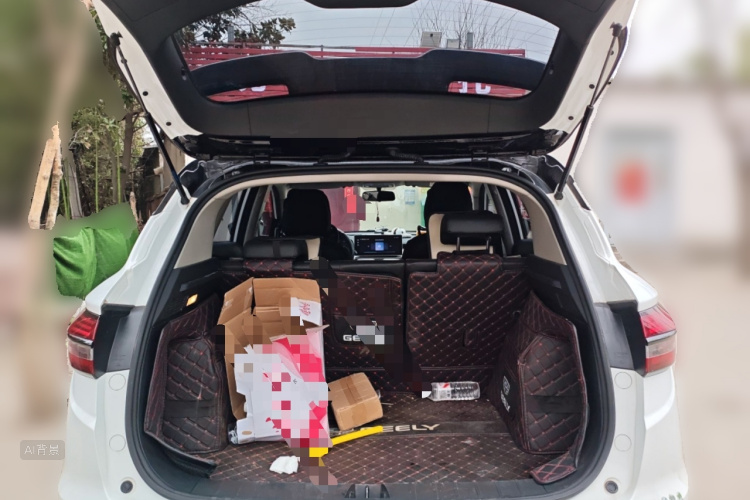 GEELY Coolray 2023 image de voiture #21