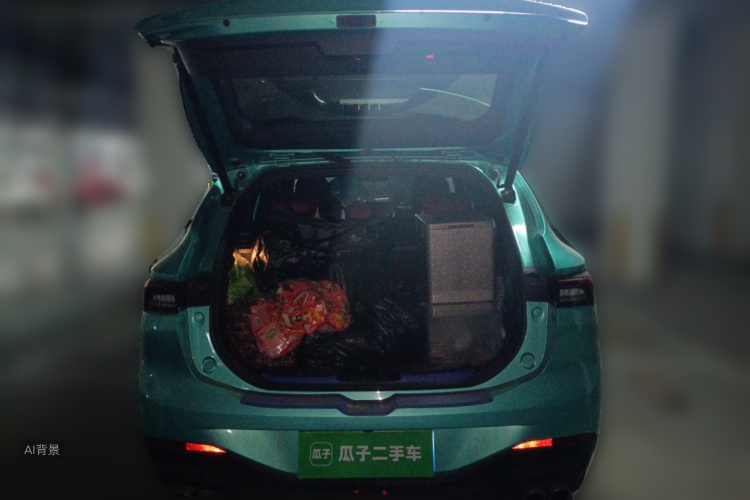 T5 EVO 2021 #21 T5 EVO 2021 car image #21