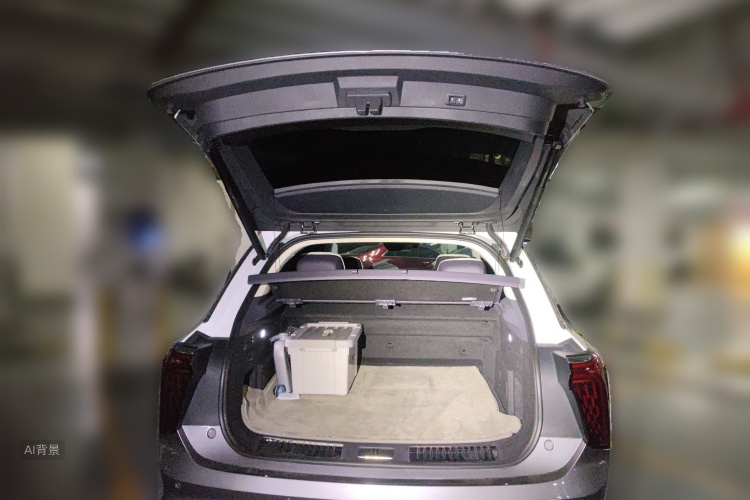 HongQi E-HS9 2022 car image #21