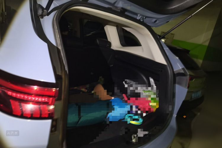 Haval H6 2021 immagine di auto #21