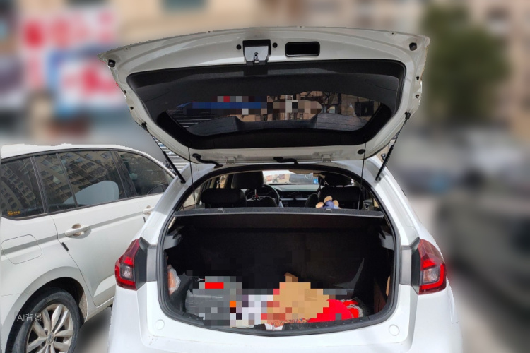 Vision X3 2019 immagine di auto #21