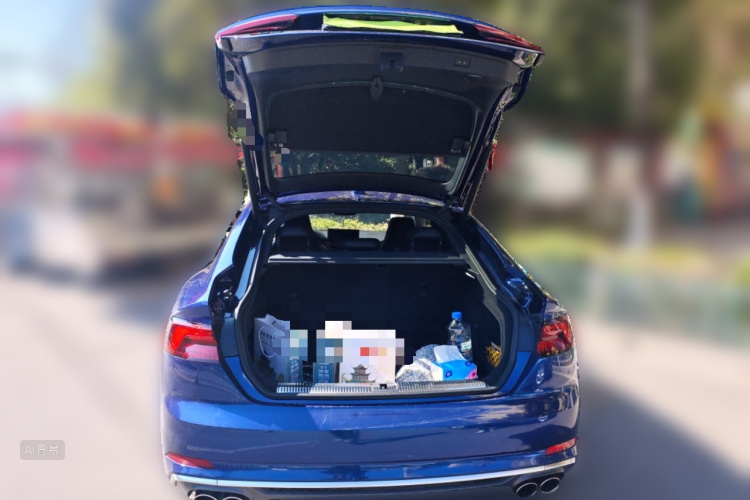 Audi S5 2019 car image #21