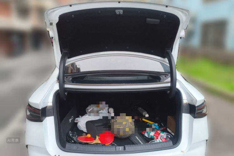 BYD Seal 06 New Energy 2025 car image #21