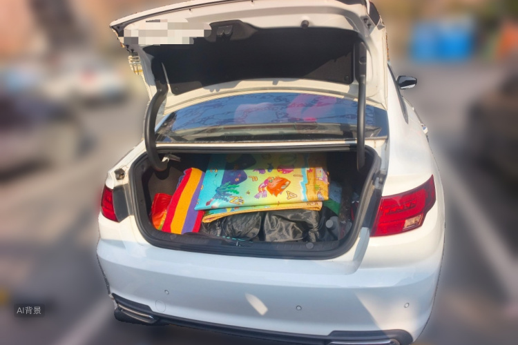 GEELY Emgrand GL 2019 car image #21