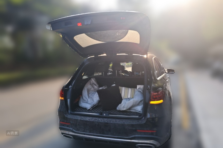 Mercedes-Benz GLC Class 2020 car image #21