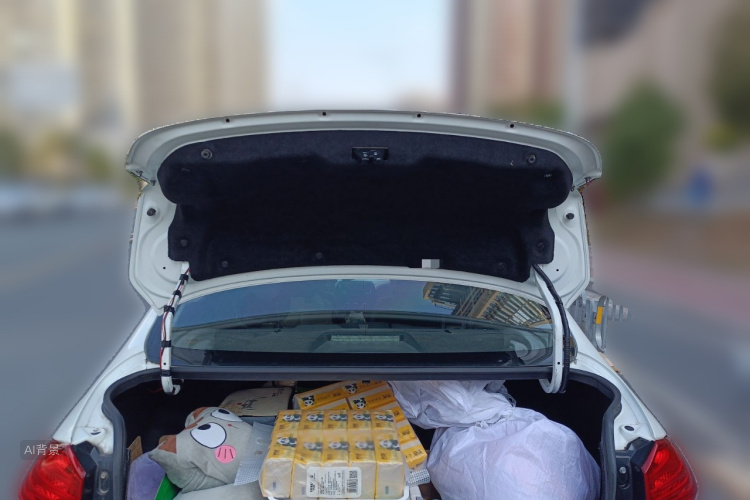 铃木 启悦 2017 汽车图片 #21