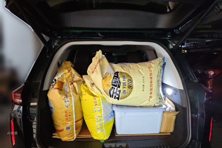 Exceed Lanyue 2023 изображение автомобиля #21