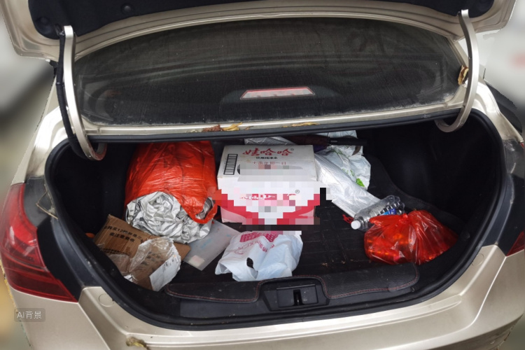 Emgrand 2018 car image #21