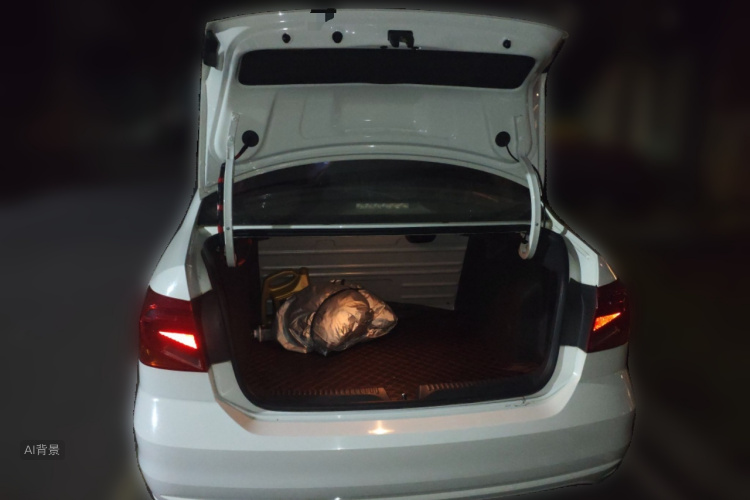 Jetta Jetta 2017 #21 Jetta Jetta 2017 car image #21