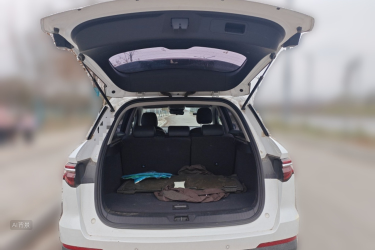 BYD Song Pro 2020 #21 BYD Song Pro 2020 car image #21