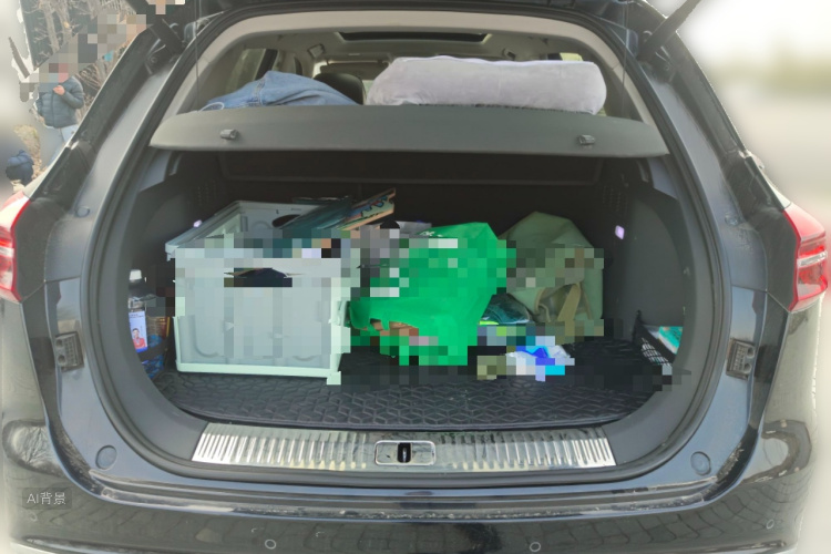 HongQi HS5 2020 car image #21