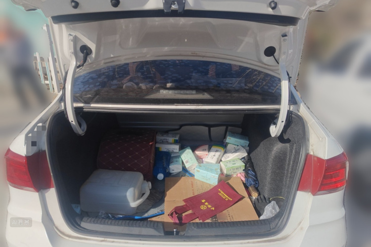 Santana 2019 immagine di auto #21