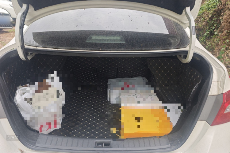 日产 轩逸 2019 汽车图片 #21