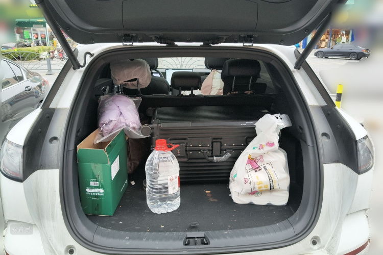 BYD Sea Lion 06 New Energy 2025 car image #21