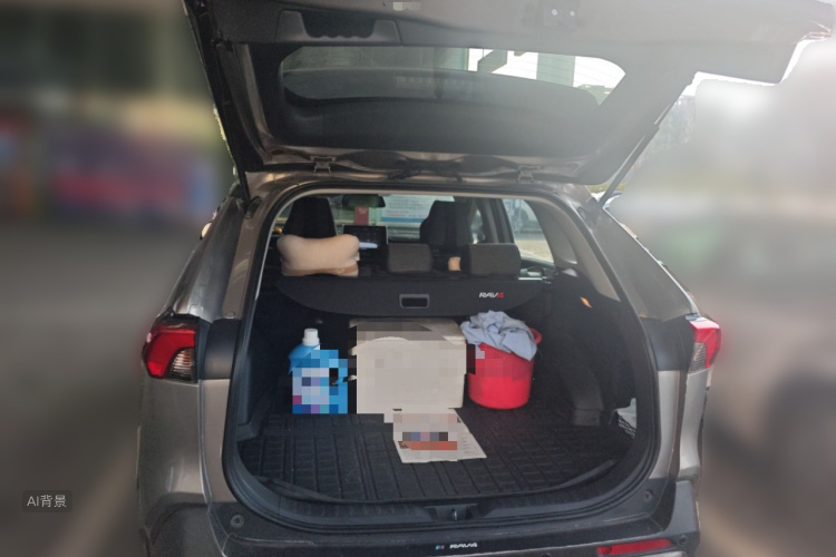 Toyota RAV4 2019 car image #21