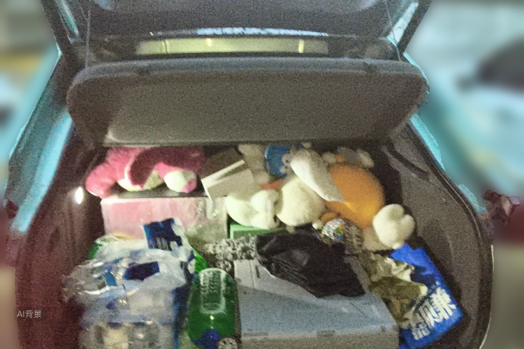 Deepal SL03 2022 car image #21