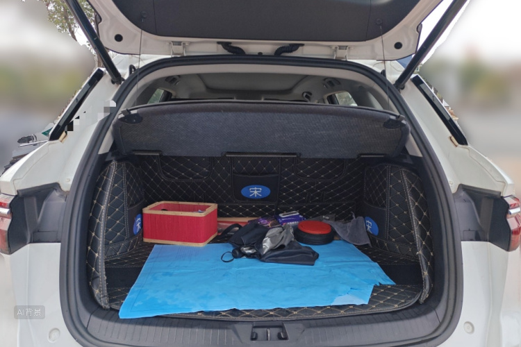 BYD Song Pro 2020 car image #21