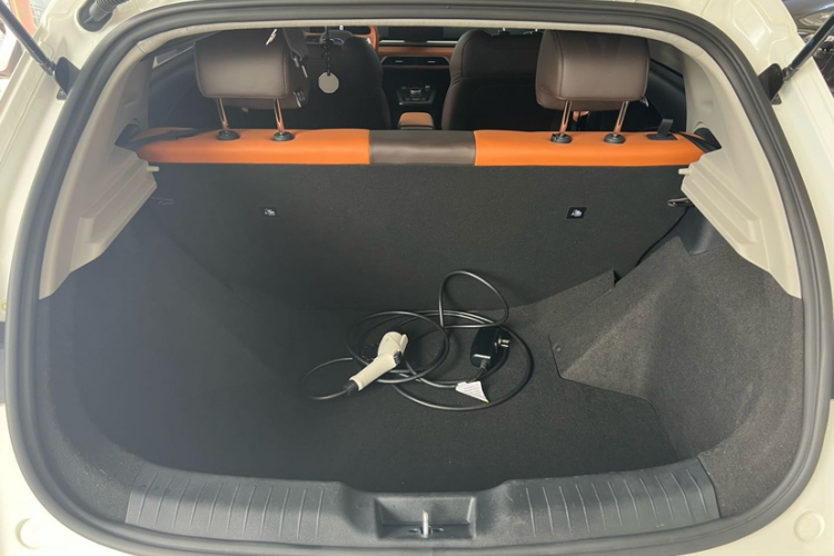 BYD e2 2020 #21 BYD e2 2020 imagen de coche #21