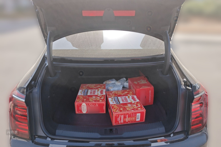 HongQi H9 2024 car image #21