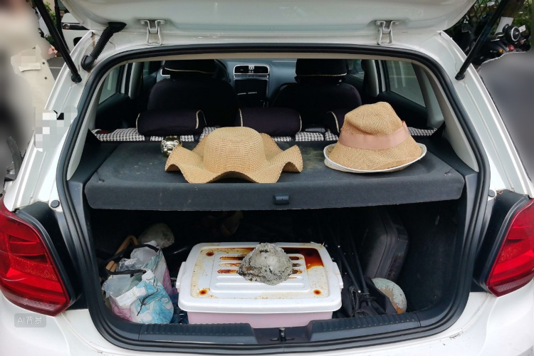 Volkswagen Polo 2014 immagine di auto #21