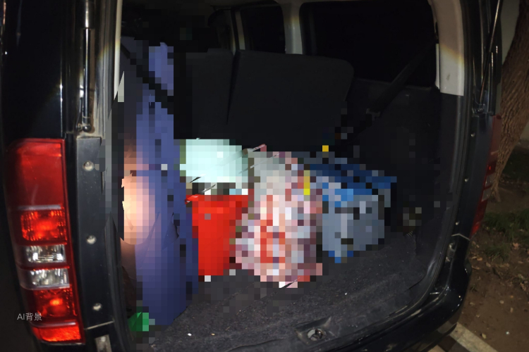 JAC 2022 #21 JAC 2022 imagen de coche #21