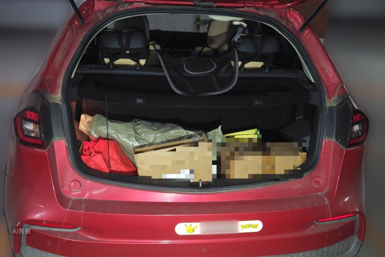 Vision X3 2021 car image #21