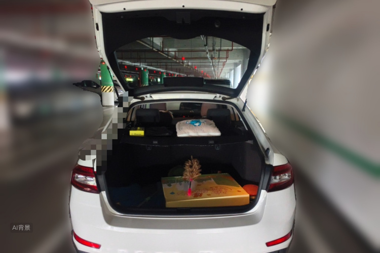 Skoda Octavia 2017 car image #21