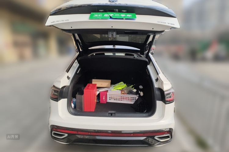 Volkswagen Tiguan X 2022 car image #21