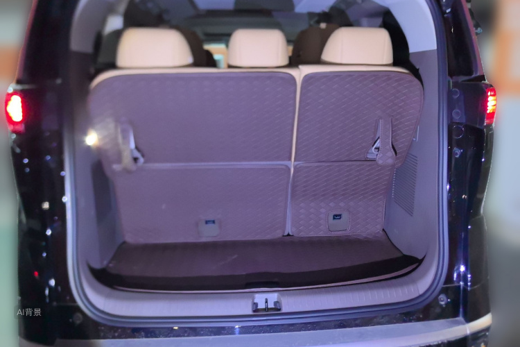 Denza D9 2023 صورة سيارة #21