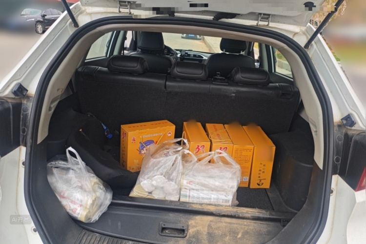 MG GS 2018 car image #21