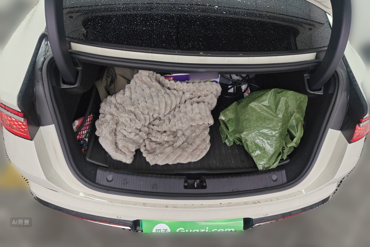 BYD Seal 07 DM-i 2024 image de voiture #21