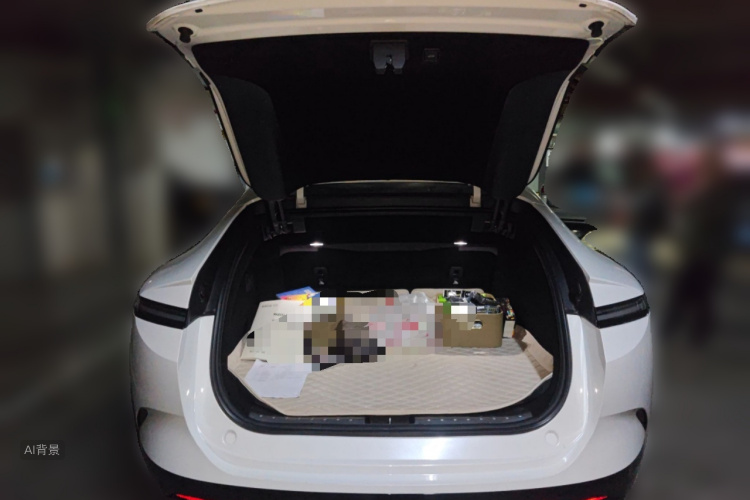 Avatr 12 2024 car image #21