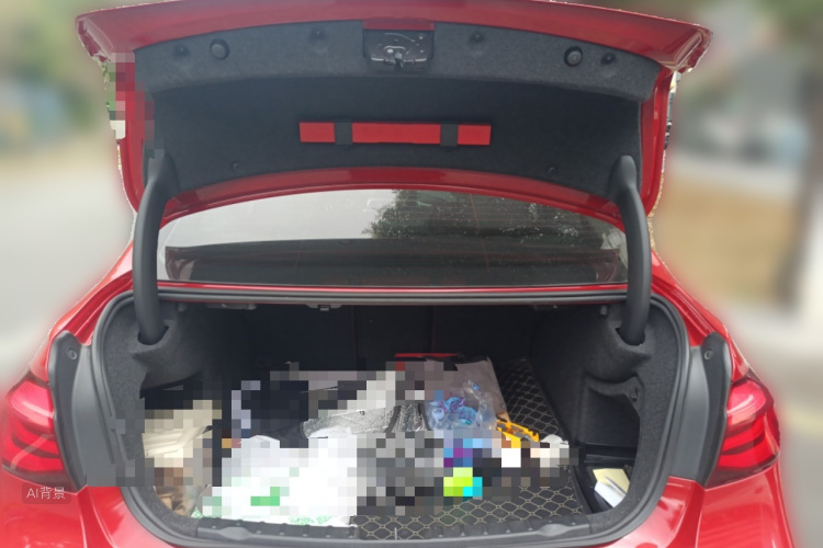 BMW 3 Series 2018 car image #21