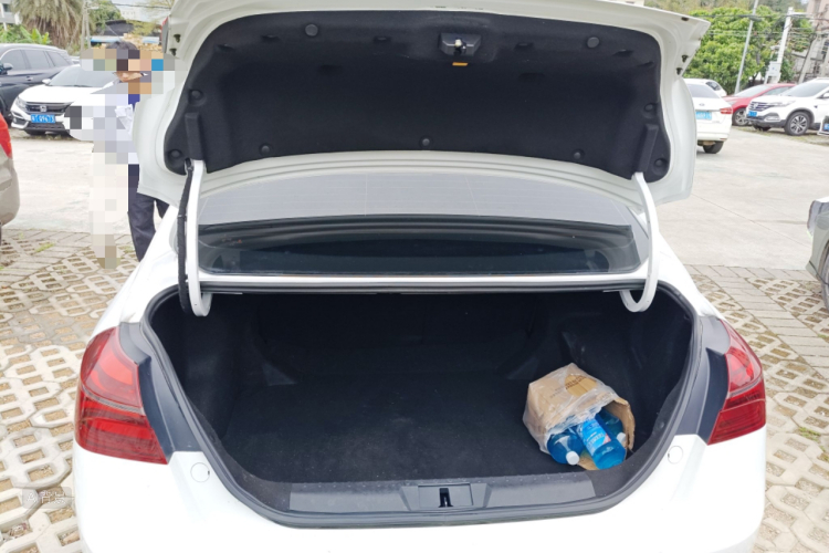 Emgrand 2019 car image #21