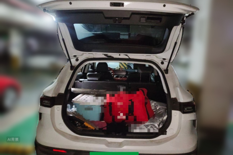 Exceed T5 EVO 2023 car image #21